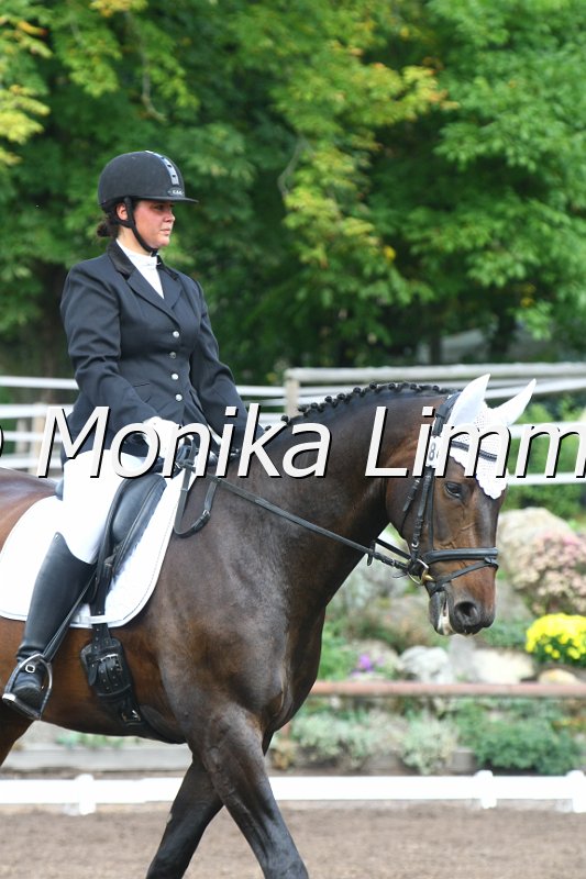 109M3946_Williams_Dressur E.JPG